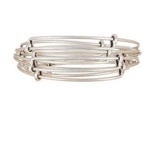 Alex and Ani Matte Wire Bangle Set